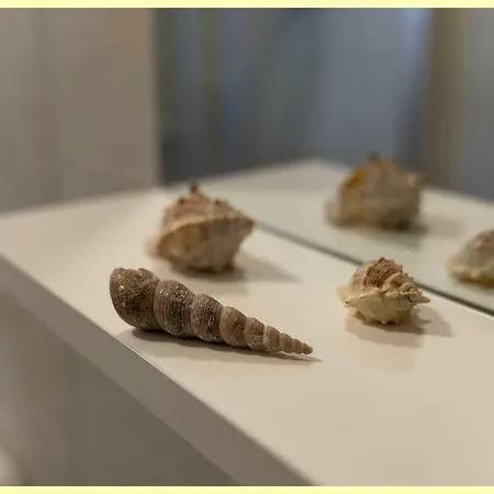 Tayla-apartment Apartment Vodice