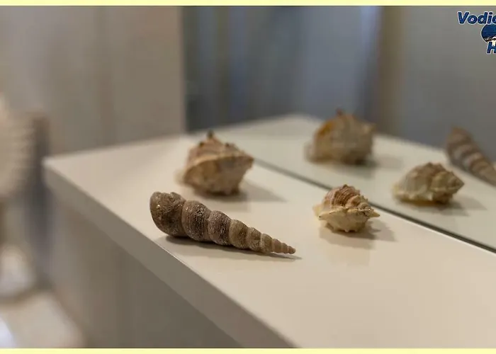 Tayla-apartment Apartment Vodice